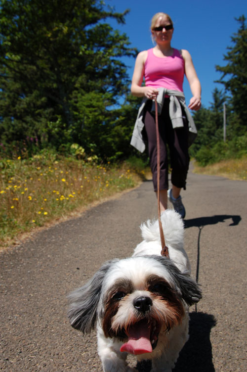 Woman walking her dog