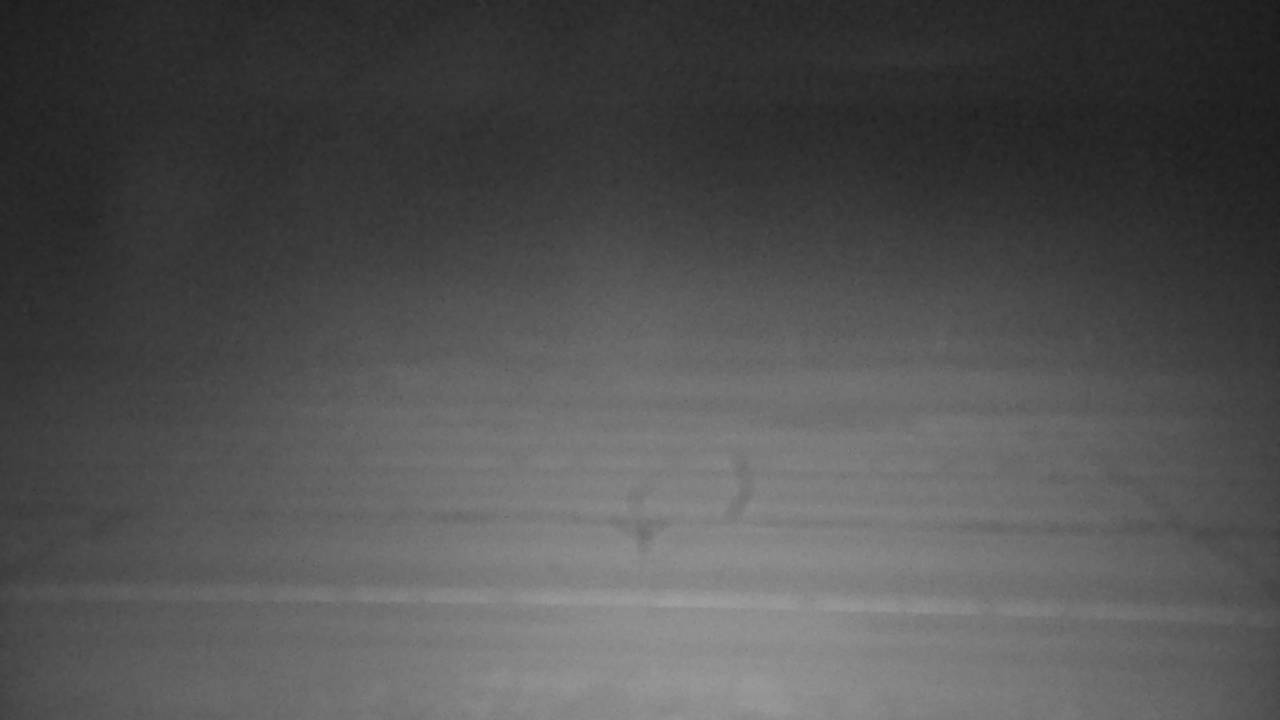 Roadway Elev 4327 - 03/09/2026 12:30 AM