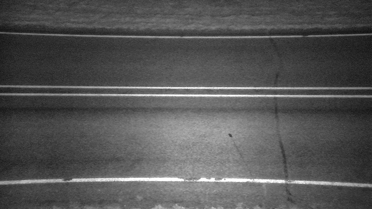 Roadway Elev 3060 - 03/09/2026 12:30 AM