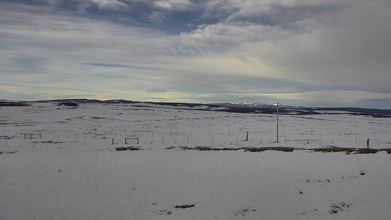 West Elev 4200 - 03/17/2026 08:45 AM