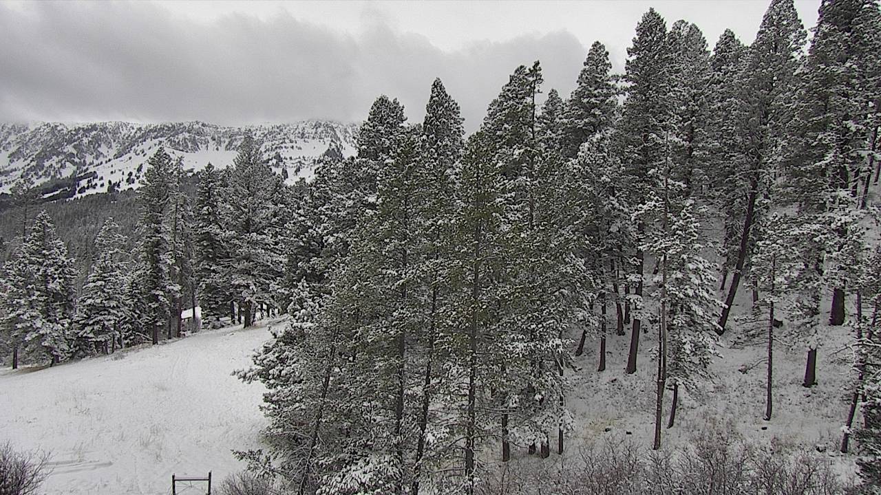 Bridger Canyon - West Horizon Elev 6090