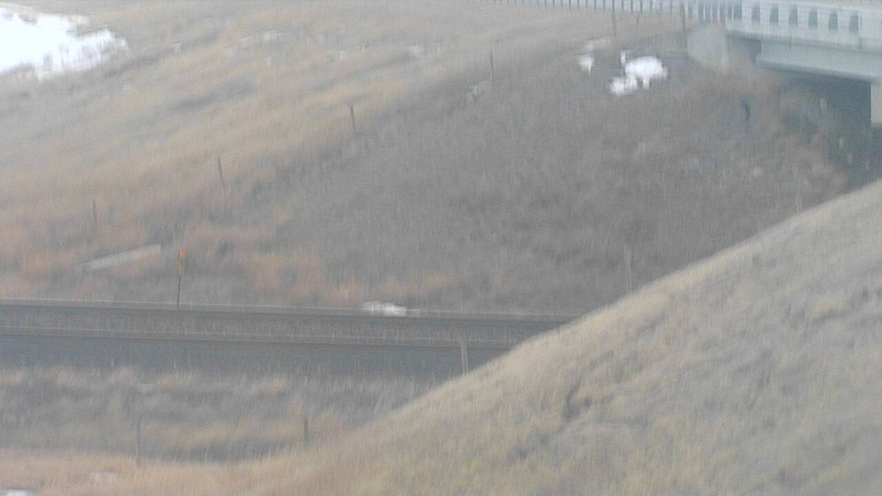 Southeast Elev 4419 - 03/17/2026 08:45 AM