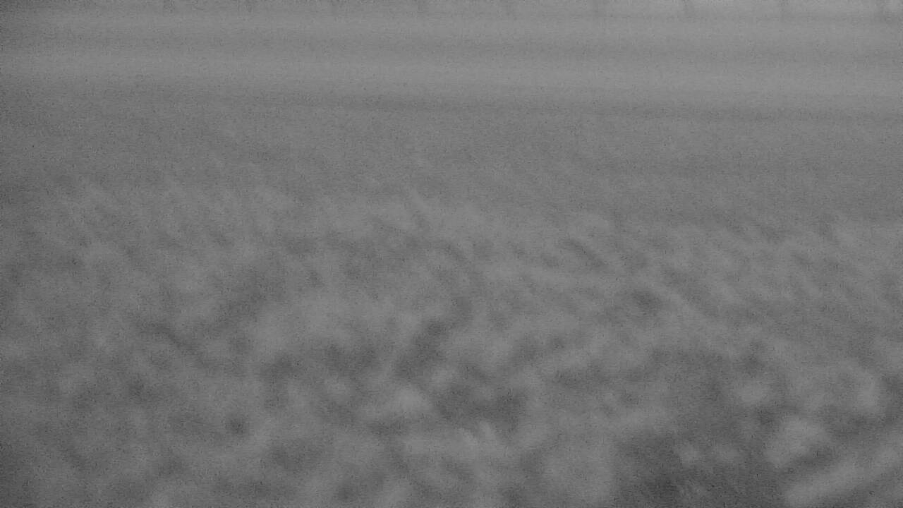 Browning - Roadway Elev 4419