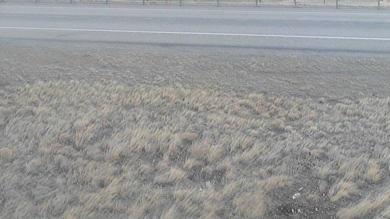 Roadway Elev 4419 - 03/17/2026 08:45 AM