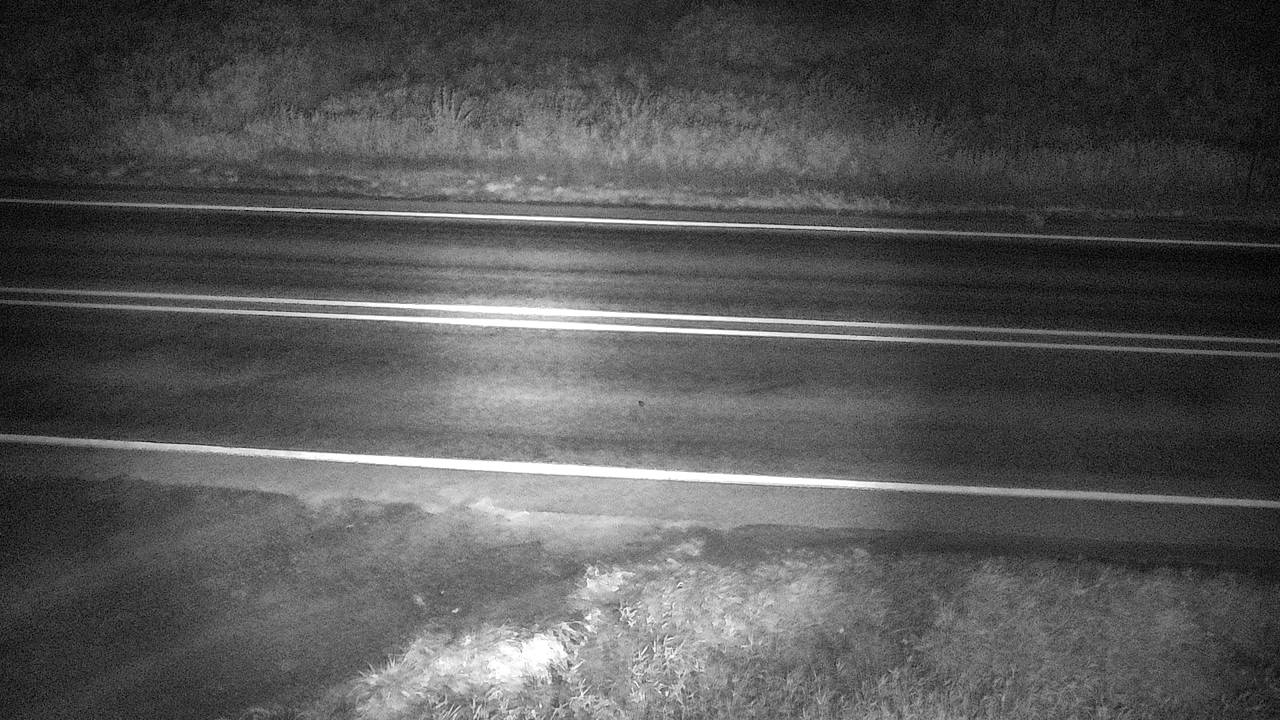 Roadway Elev 2340 - 10/04/2026 03:30 AM