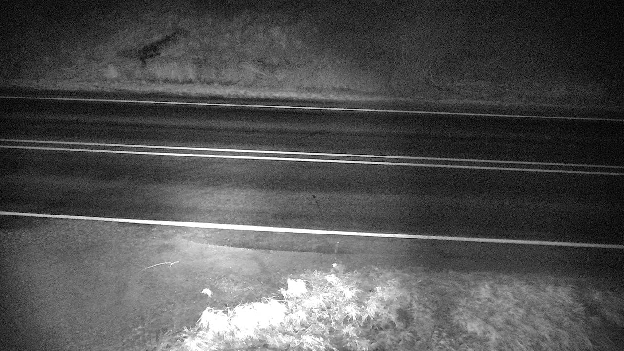 Roadway Elev 2340 - 12/15/2025 09:30 PM