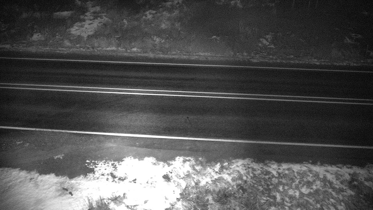 Bull Lake - Roadway Elev 2340