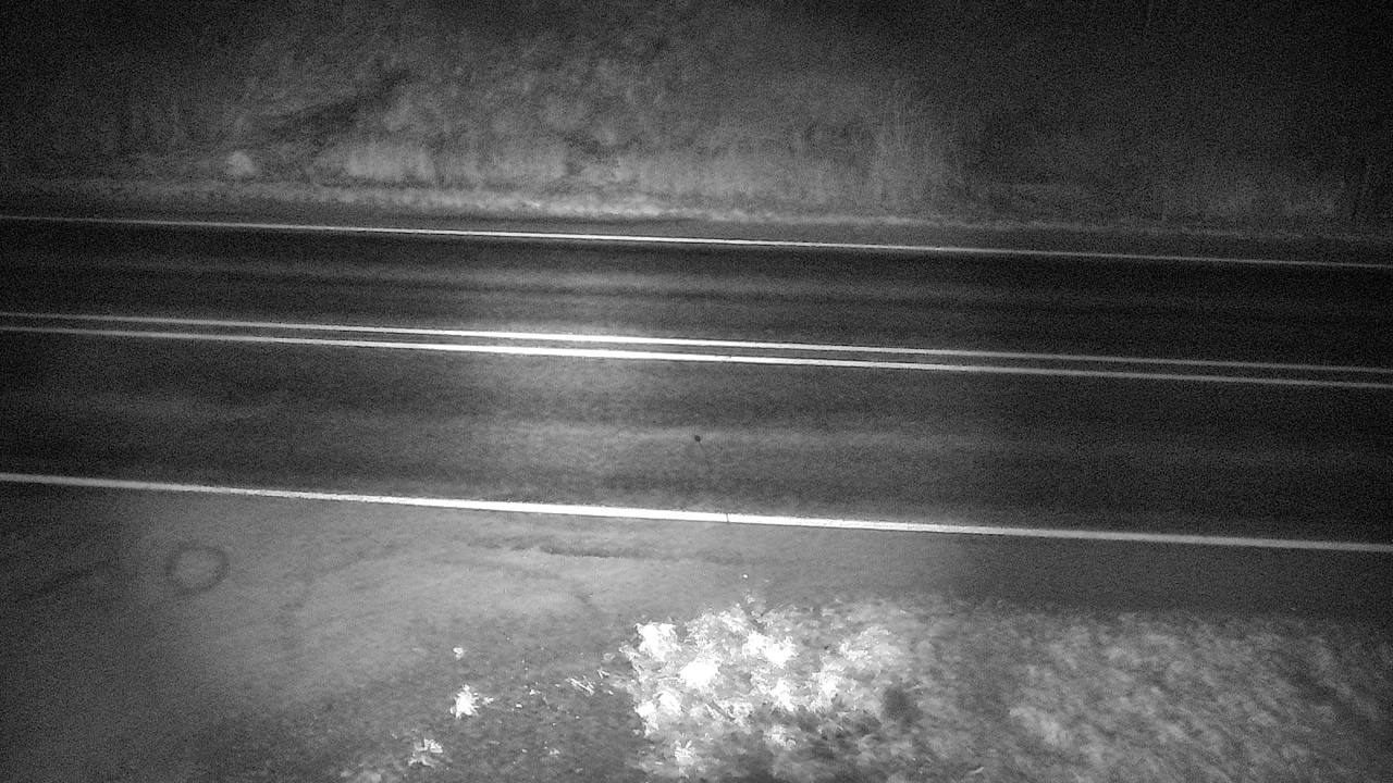 Roadway Elev 2340 - 03/19/2026 06:45 AM