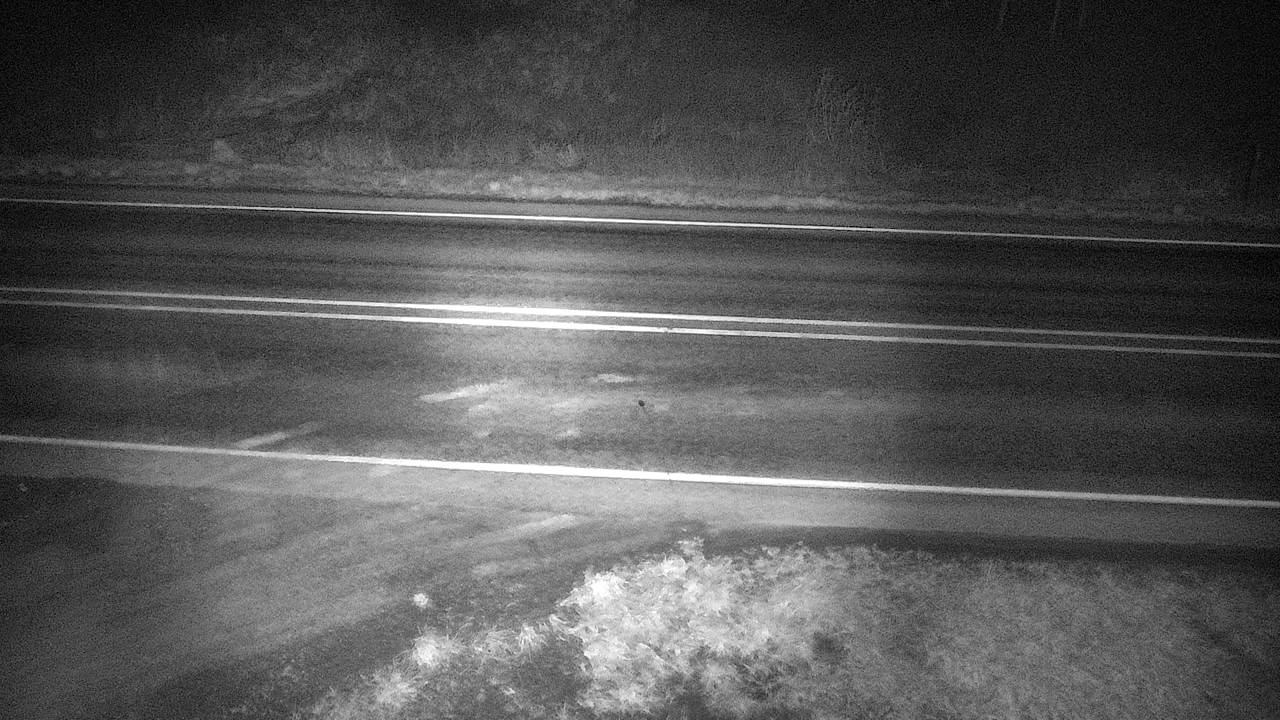 Roadway Elev 2340 - 04/25/2026 02:45 AM