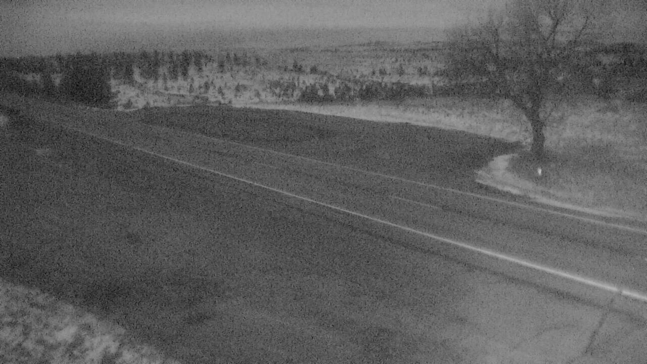 Turnout Elev 3898 - 12/05/2025 12:45 AM