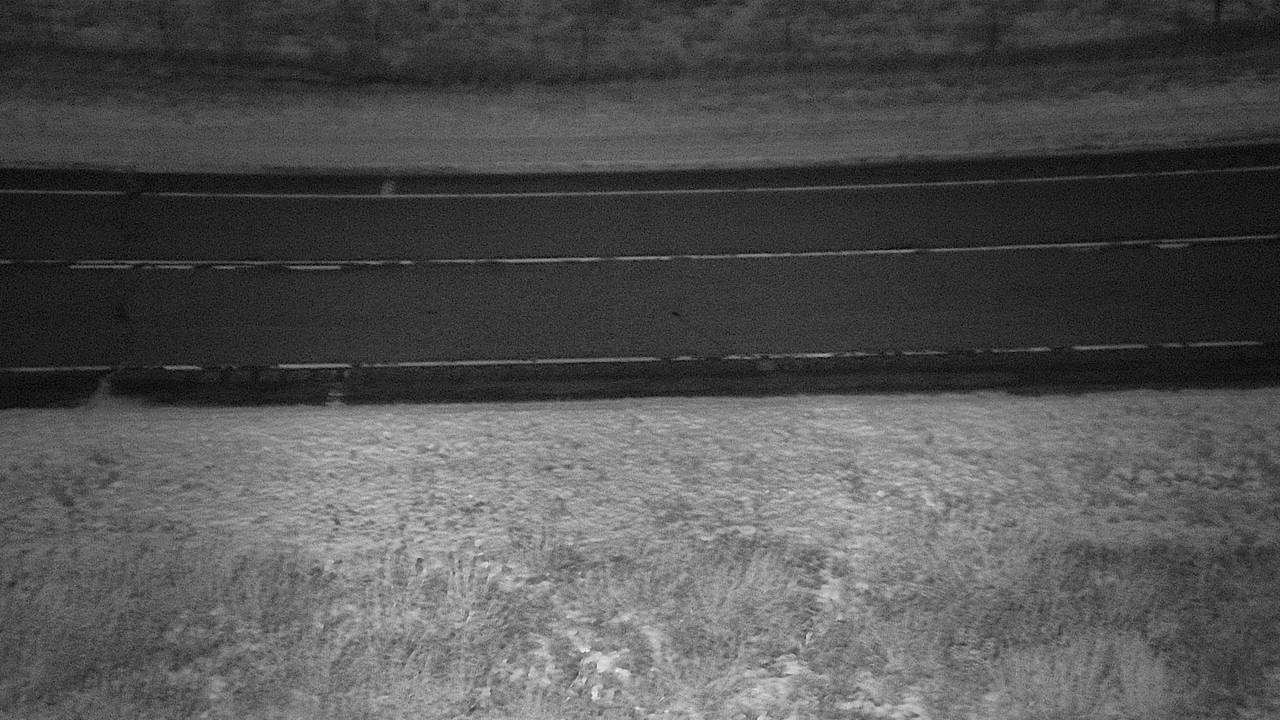 Coalwood - Roadway Elev 3350