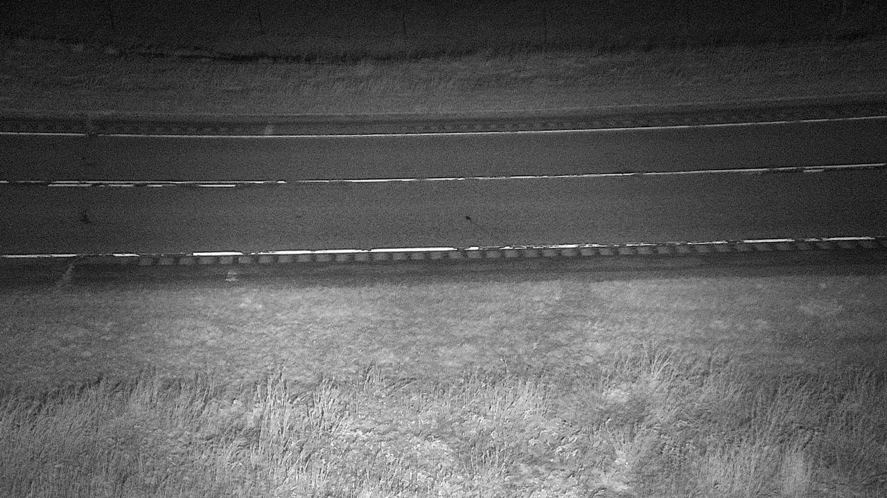 Roadway Elev 3350 - 03/09/2026 12:15 AM