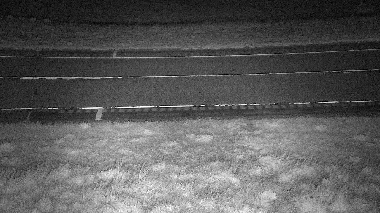 Roadway Elev 3350 - 04/25/2026 02:30 AM