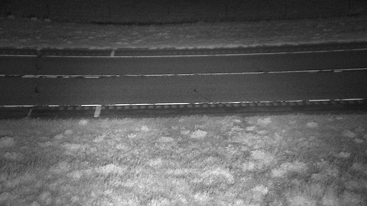 Coalwood - Roadway Elev 3350