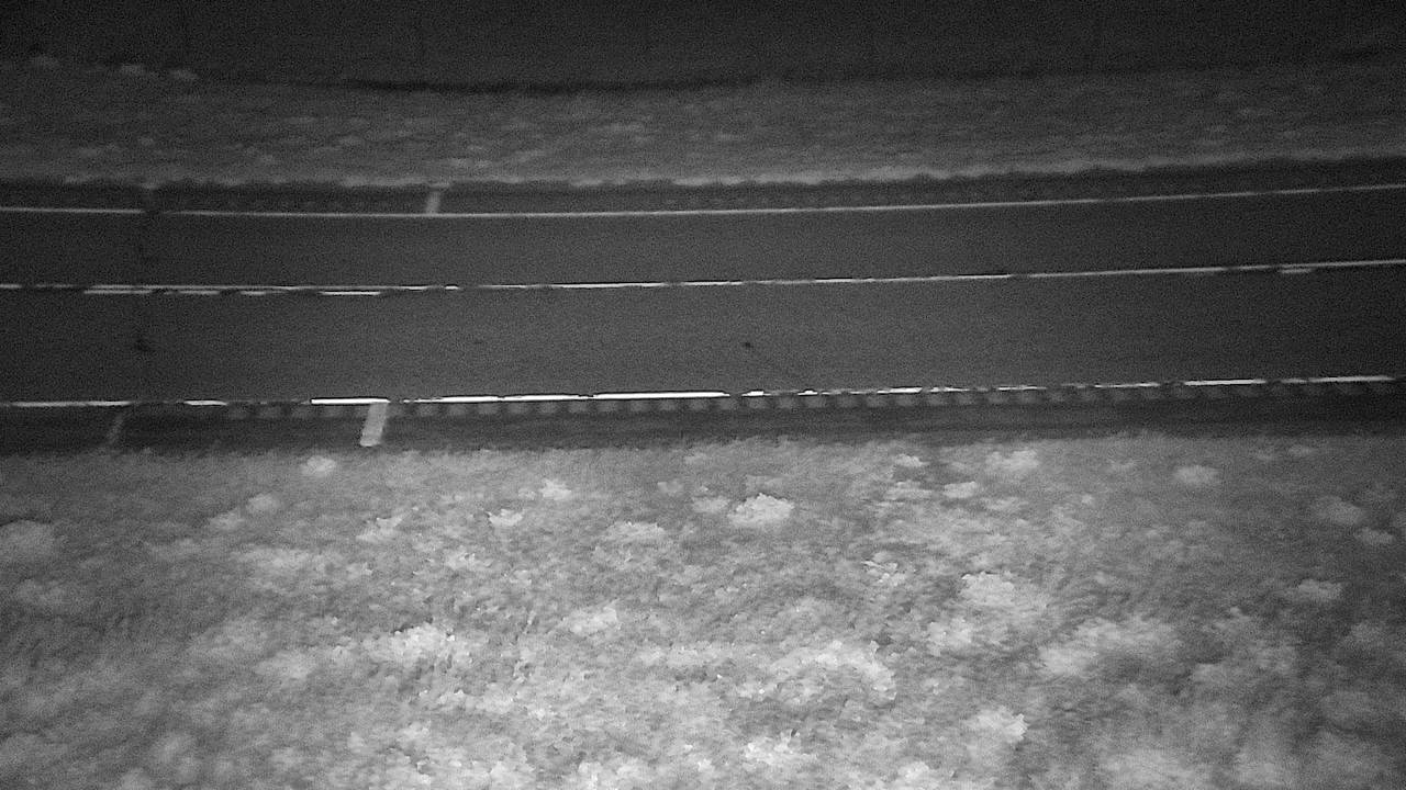 Roadway Elev 3350 - 05/02/2026 01:45 AM