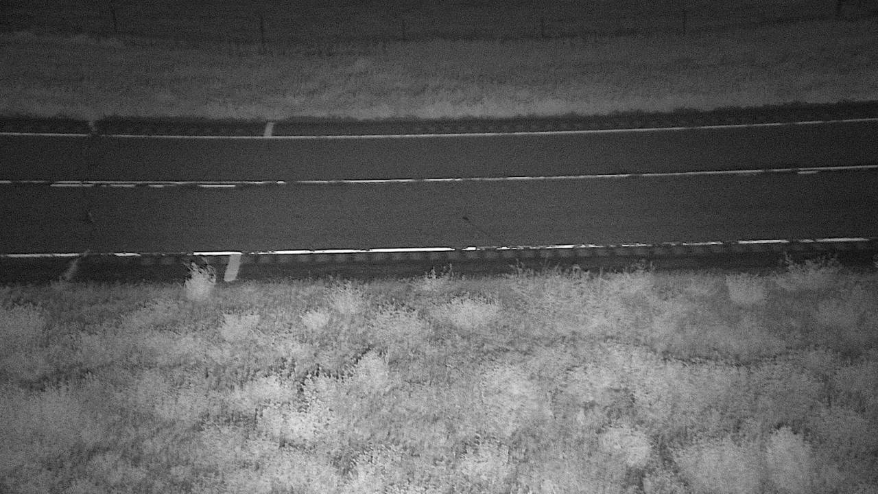 Roadway Elev 3350 - 06/09/2026 04:30 AM