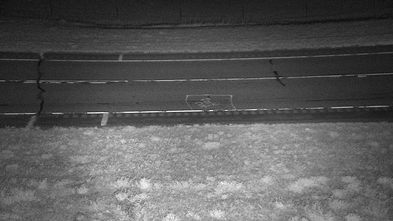 Coalwood - Roadway Elev 3350