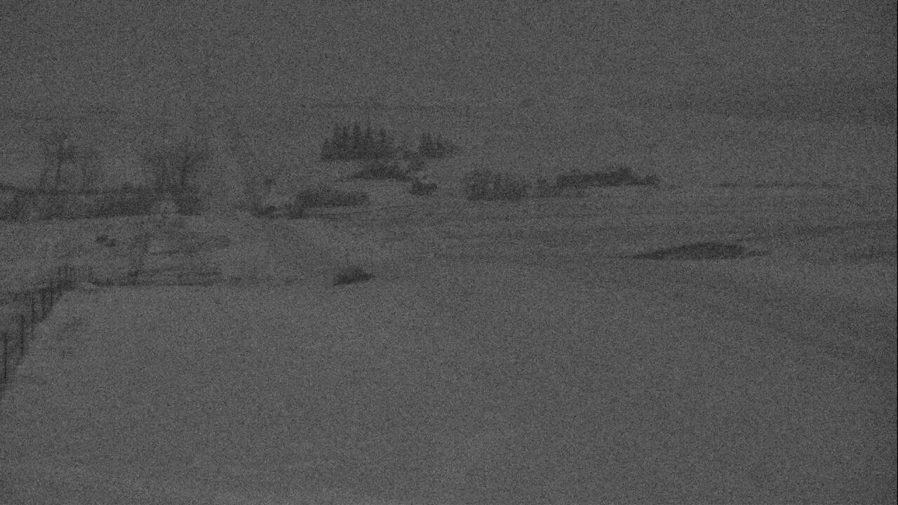 Comertown - East Elev 2099