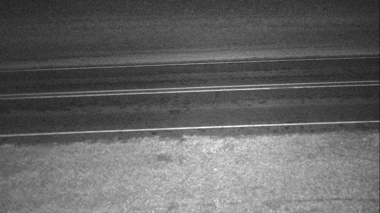 Roadway Elev 2099 - 03/09/2026 12:30 AM