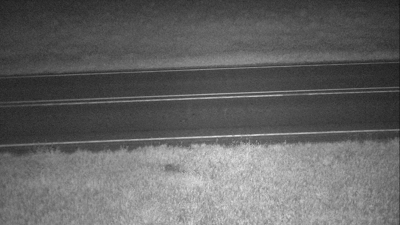 Comertown - Roadway Elev 2099
