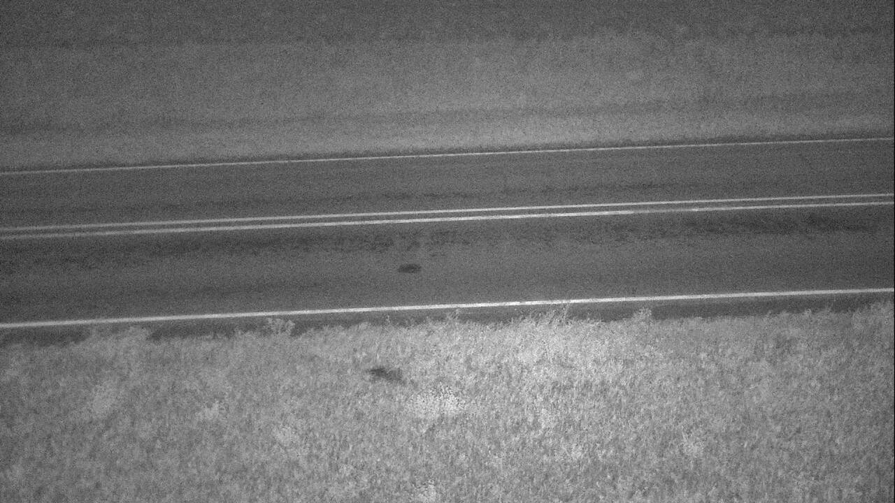 Comertown - Roadway Elev 2099
