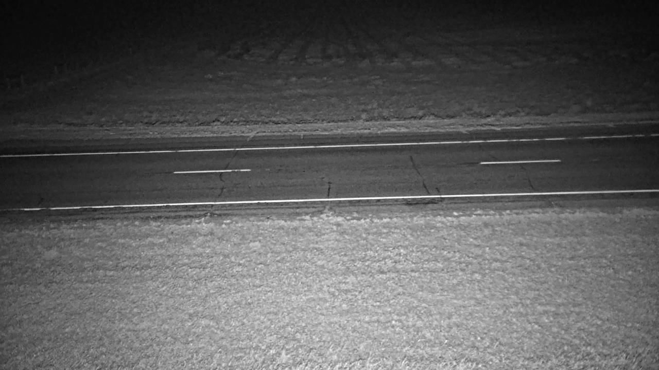 Roadway Elev 2500 - 03/09/2026 12:30 AM