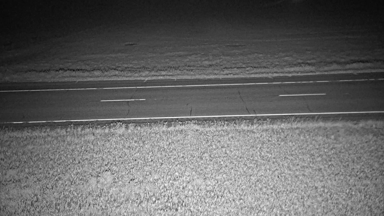 Cow Creek - Roadway Elev 2500