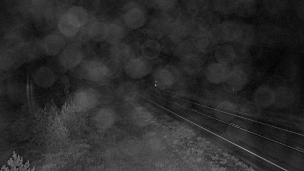Northwest Elev 3030 - 10/04/2026 03:15 AM