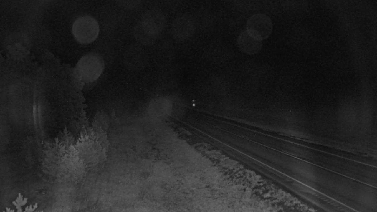 Northwest Elev 3030 - 04/25/2026 02:45 AM