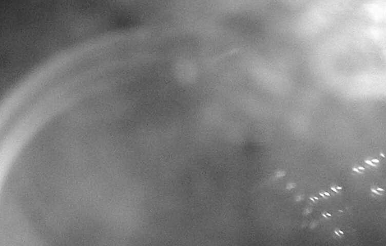 Northwest Elev 3030 - 12/15/2025 09:15 PM