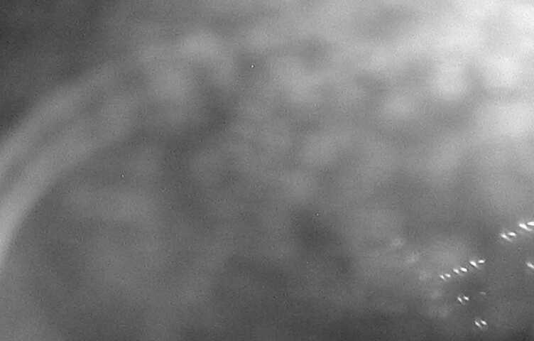 Northwest Elev 3030 - 02/01/2026 04:15 AM