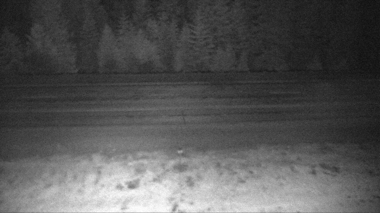 Roadway Elev 3487 - 02/01/2026 04:15 AM