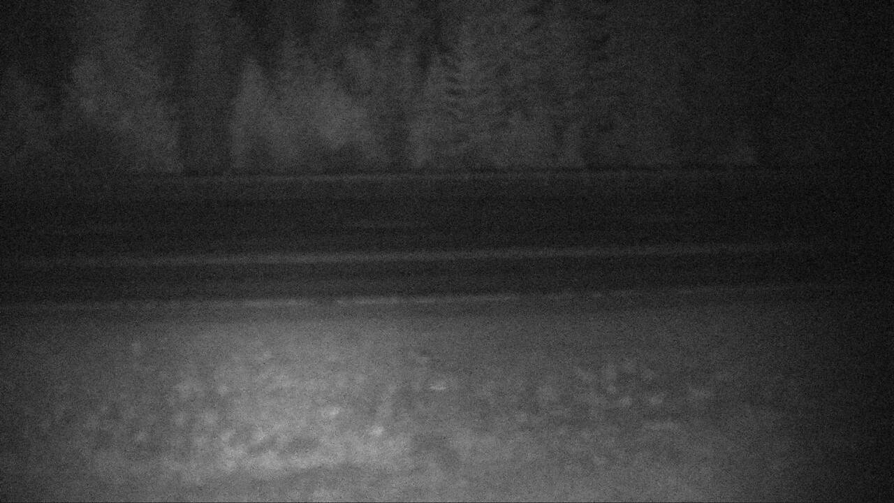 Roadway Elev 3487 - 03/19/2026 05:30 AM