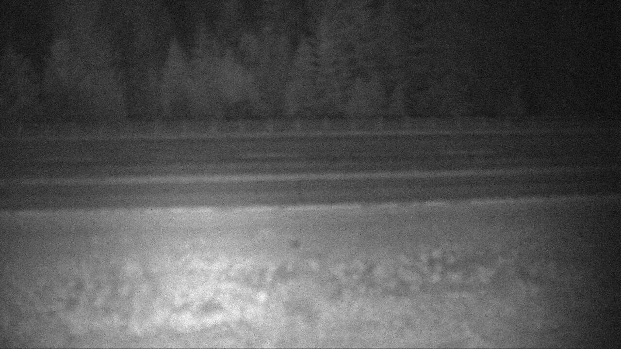 Dickey Lake - Roadway Elev 3487