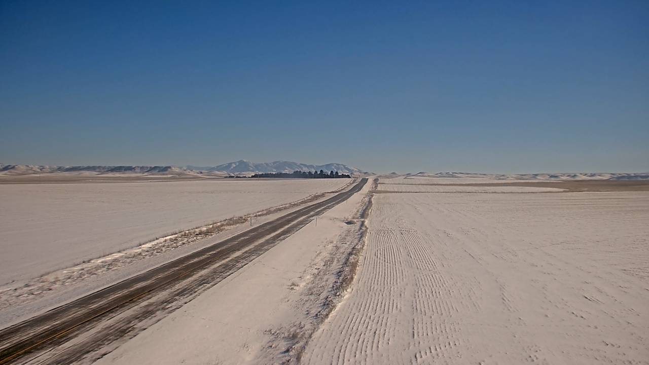 East Elev 3557 - 01/25/2026 01:00 PM