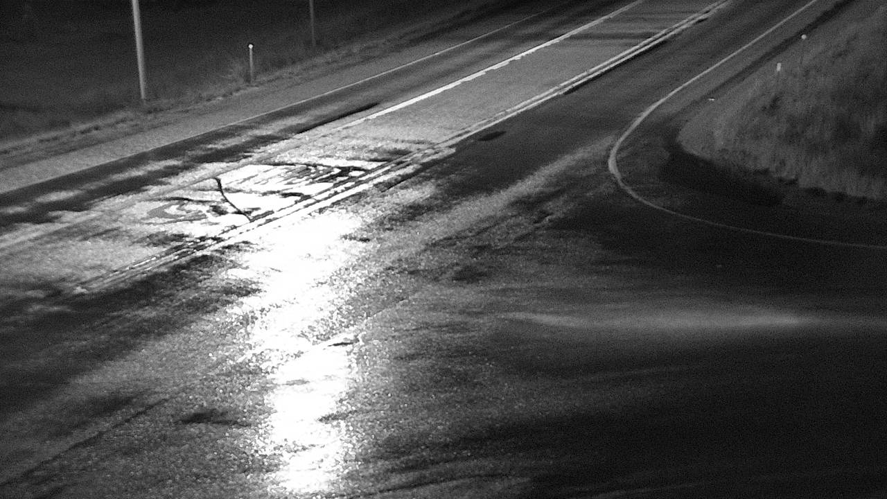 Elmo - Roadway Elev 2940