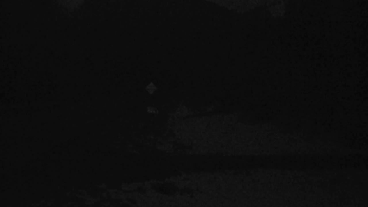 Northeast Elev 3875 - 04/25/2026 02:45 AM