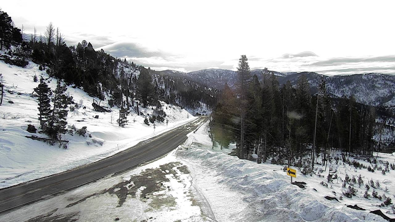 East Elev 6140 - 03/17/2026 08:45 AM