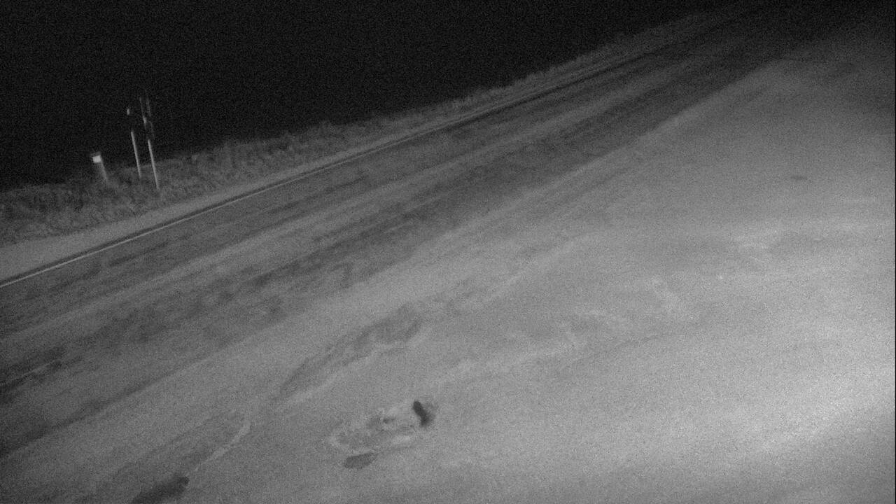 Roadway Elev 6339 - 10/04/2026 03:00 AM