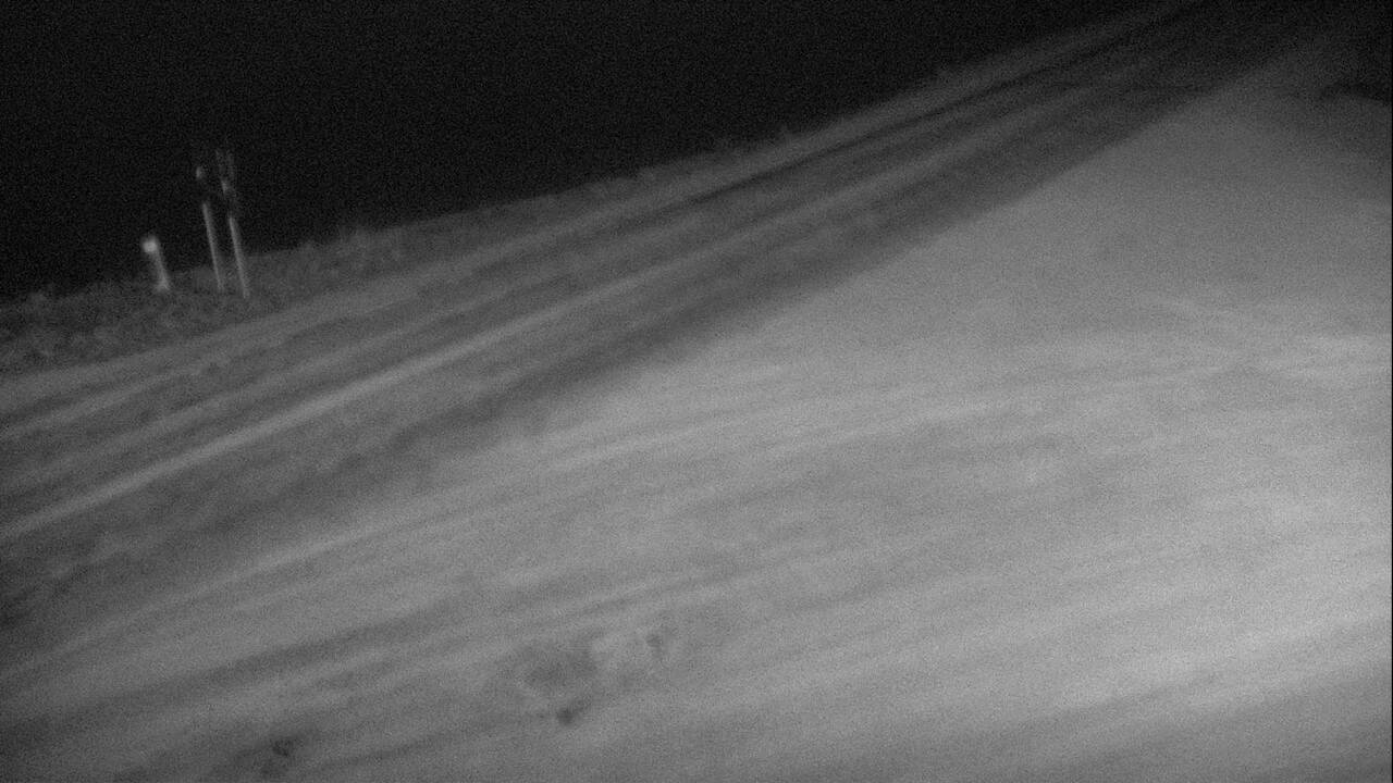 Roadway Elev 6339 - 05/02/2026 01:45 AM