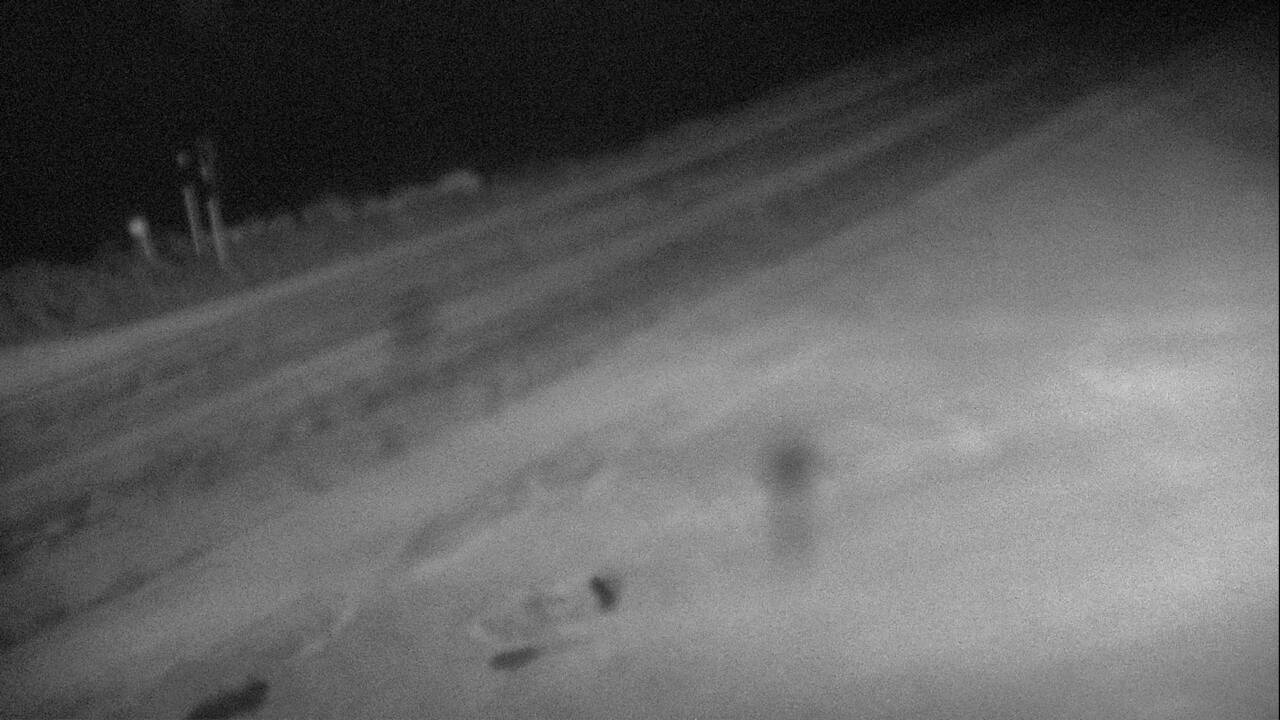 Georgetown Lake - Roadway Elev 6339