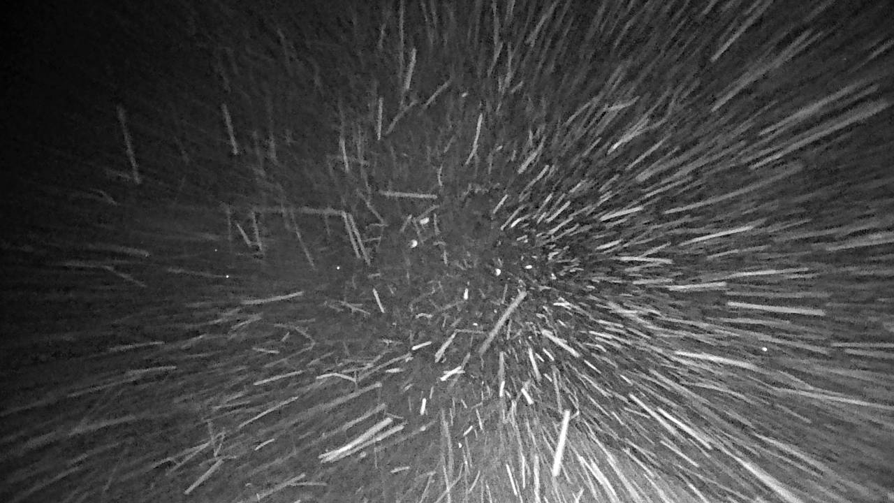 South Elev 3697 - 03/09/2026 12:30 AM