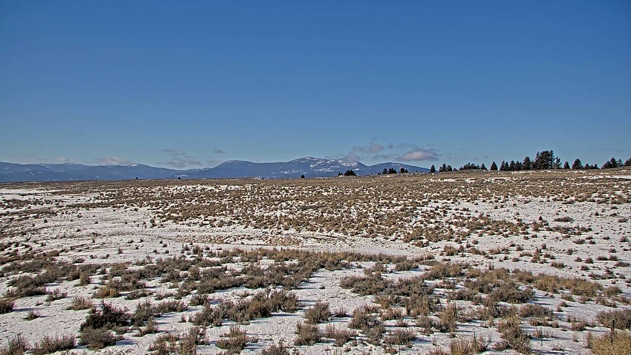 Helmville - South Elev 4199