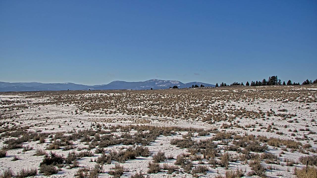 South Elev 4199 - 01/25/2026 01:00 PM