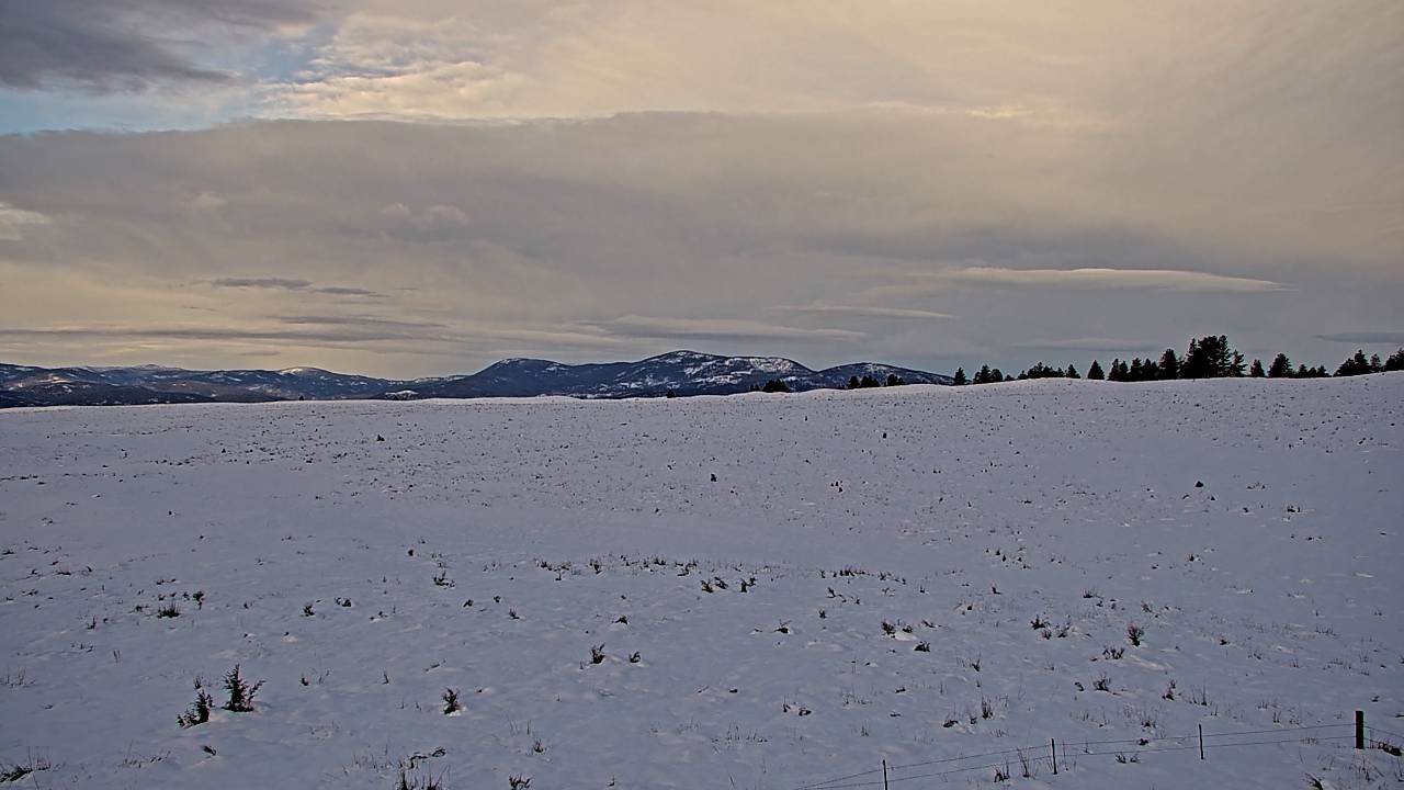 South Elev 4199 - 03/17/2026 08:45 AM