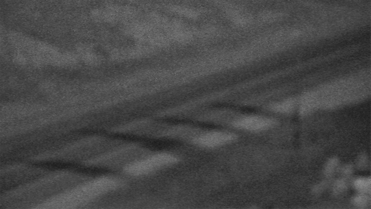 Roadway Elev 4020 - 05/02/2026 01:45 AM