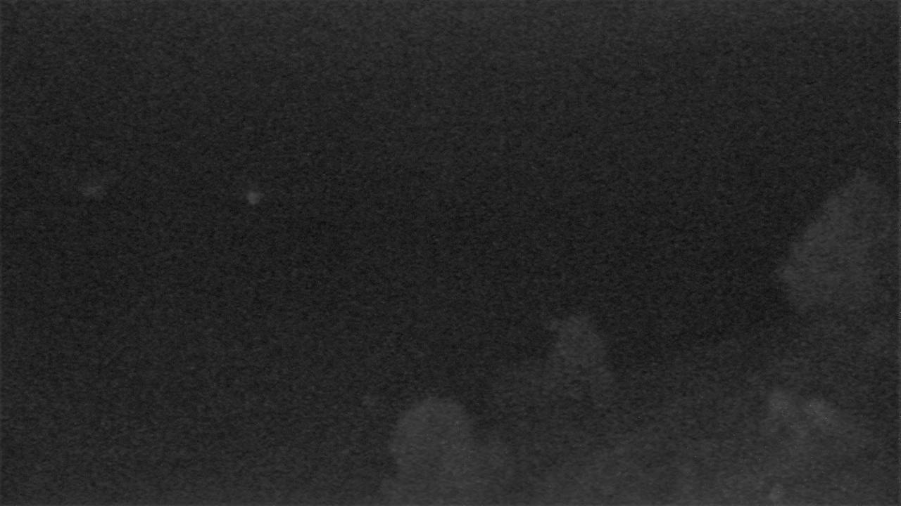 East Elev 4020 - 03/09/2026 12:15 AM