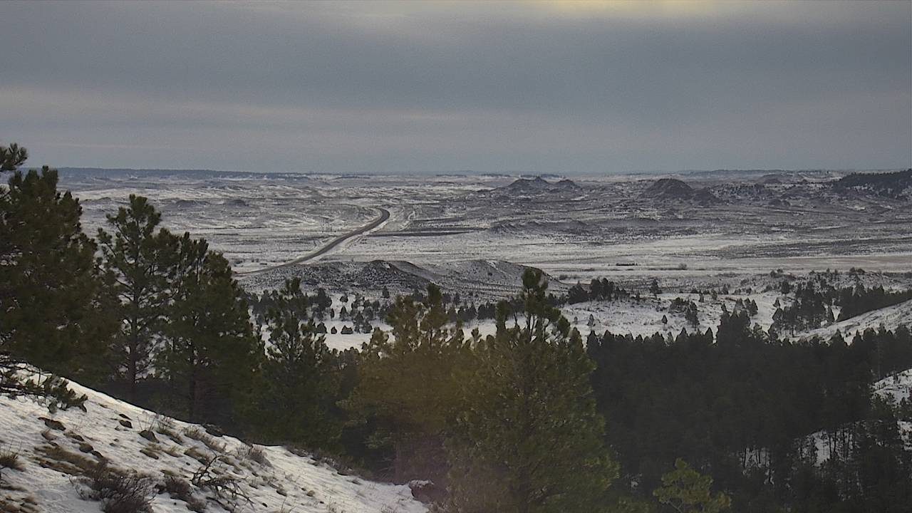 East Zoomed Elev 4020 - 03/17/2026 08:45 AM