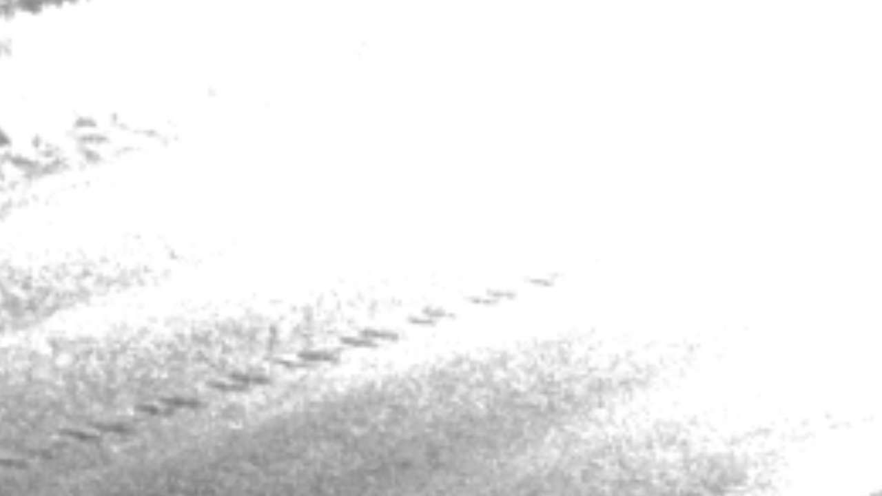 Karst - Roadway Elev 5698