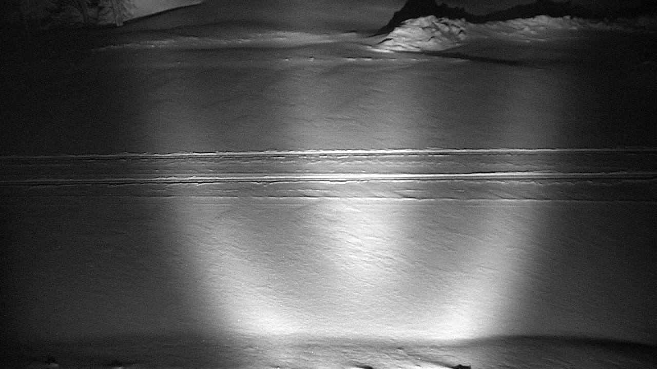 Roadway Elev 7380 - 04/25/2026 02:30 AM